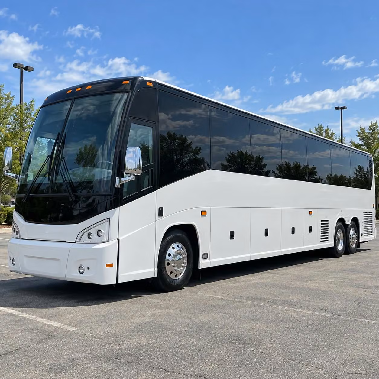 bachelorette parties birthday buses and night out transportation in tuscaloosa